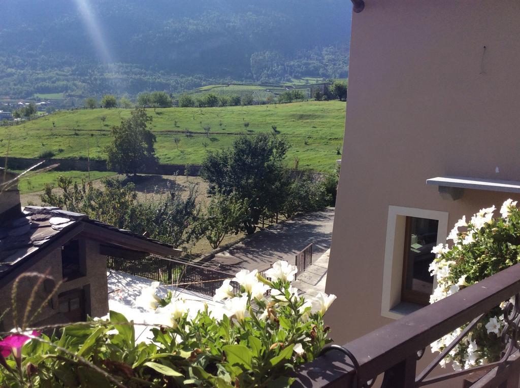 B&B La Vieille Meison De Pappa Sarre Dış mekan fotoğraf